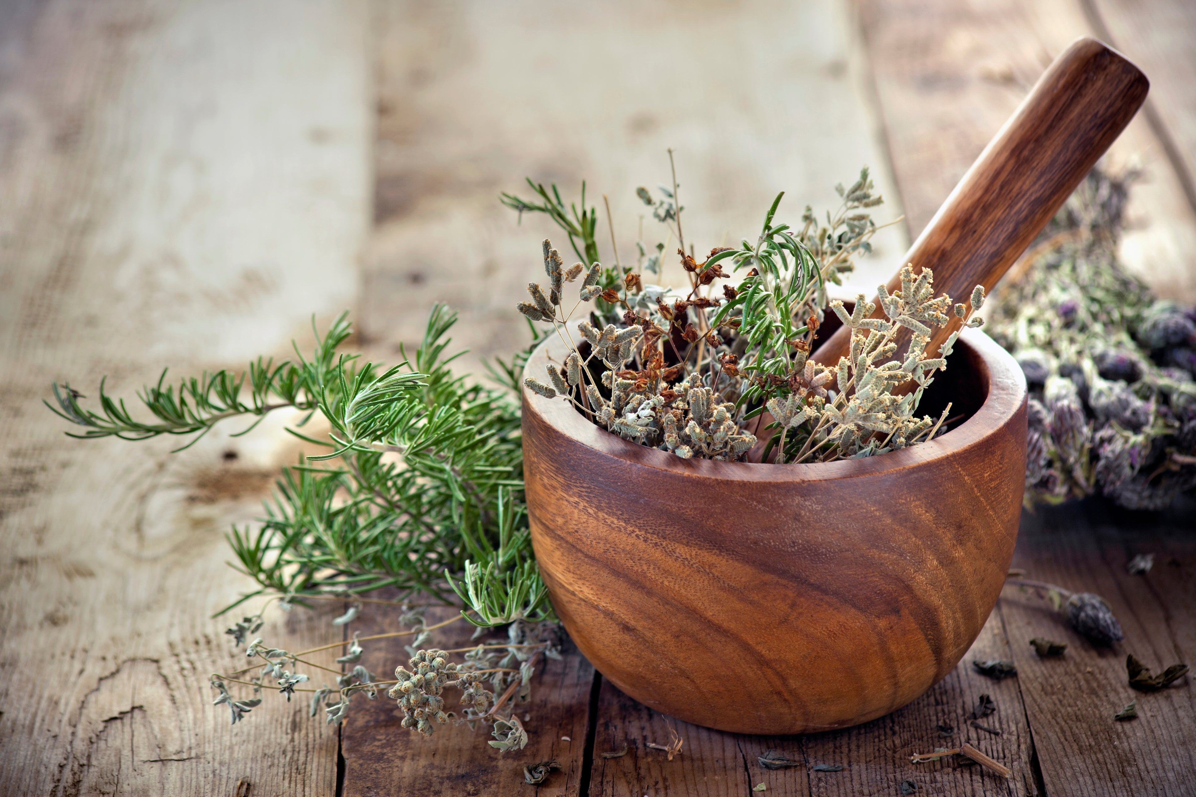 Nahrungsergänzung Naturkomponisten