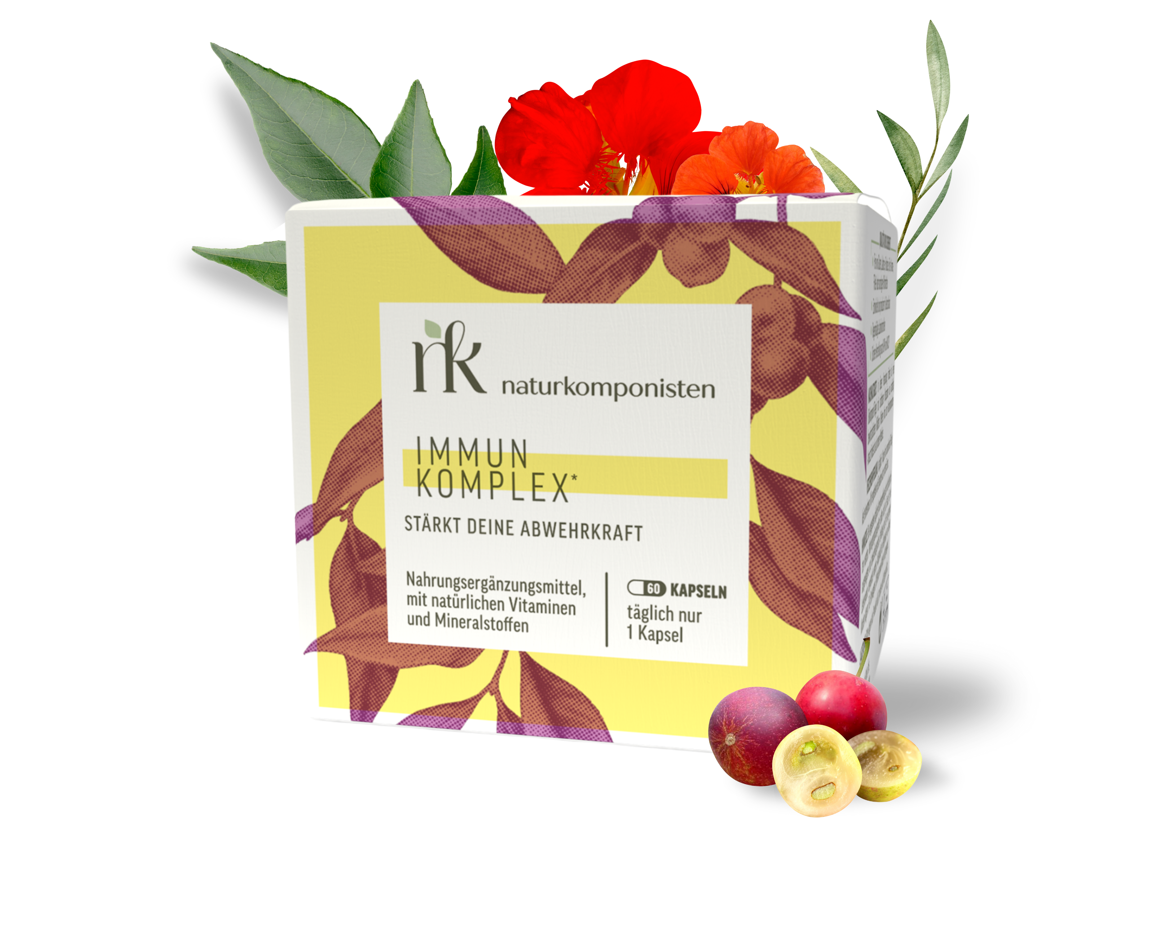 Immun Komplex