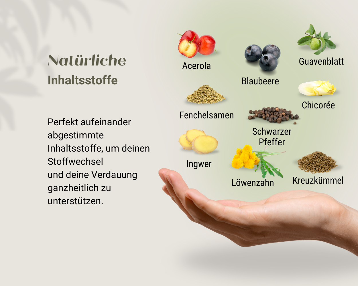Mit Schwarzem Pfeffer, Guavenblatt, Acerola, Blaubeere, Kreuzkümmel