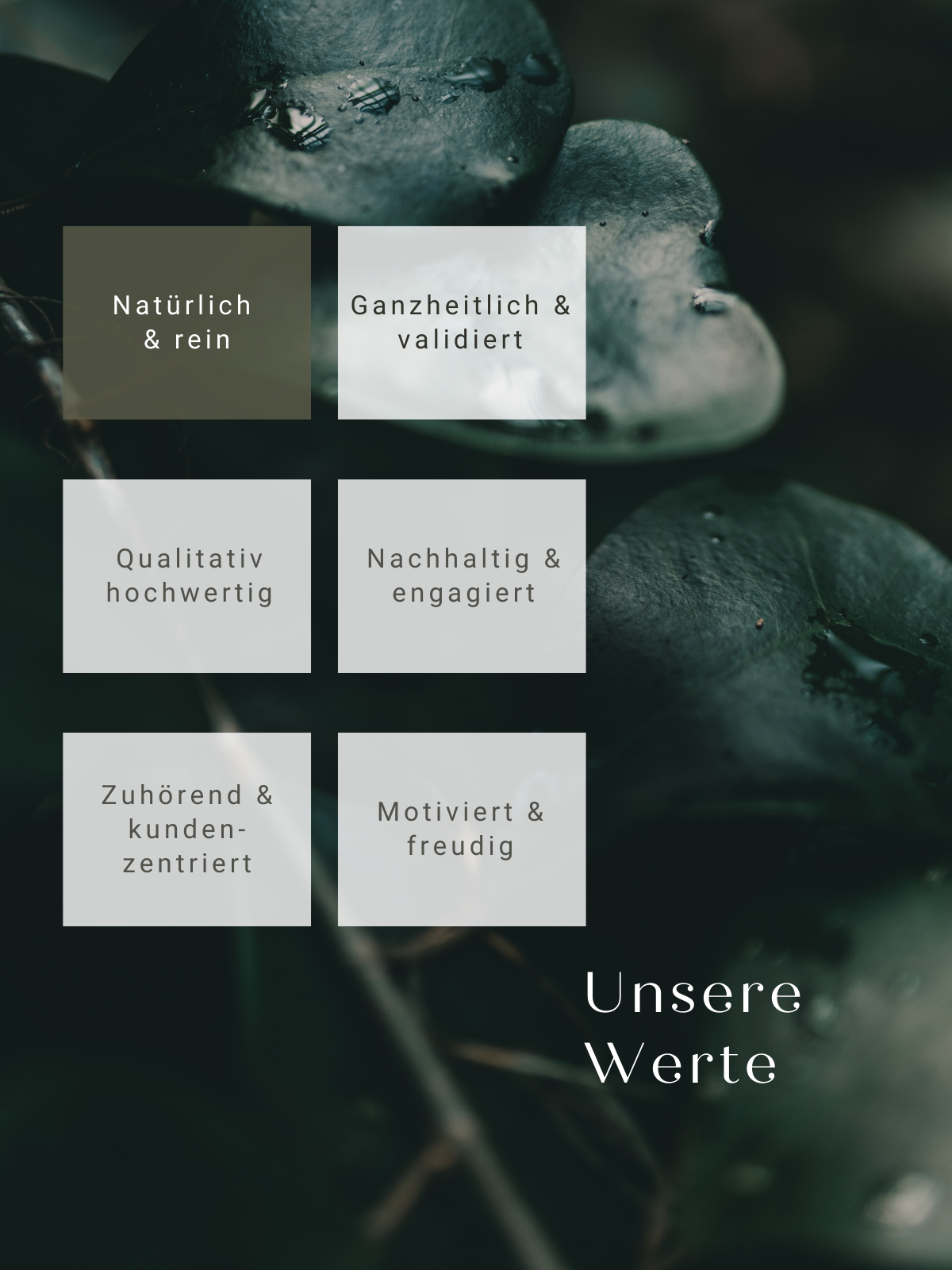 Unsere Werte Natürlich und rein