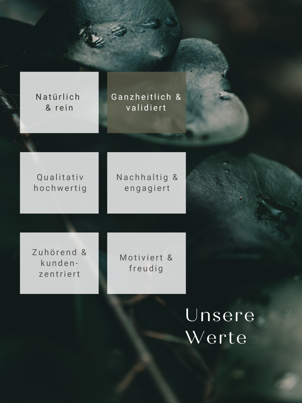 Unsere Werte ganzheitlich validiert