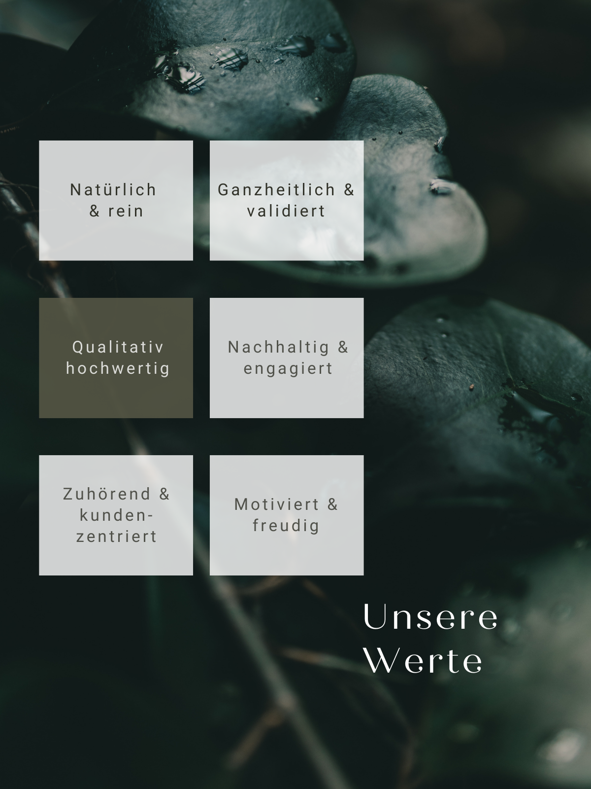 Unsere Werte qualitativ hochwertig