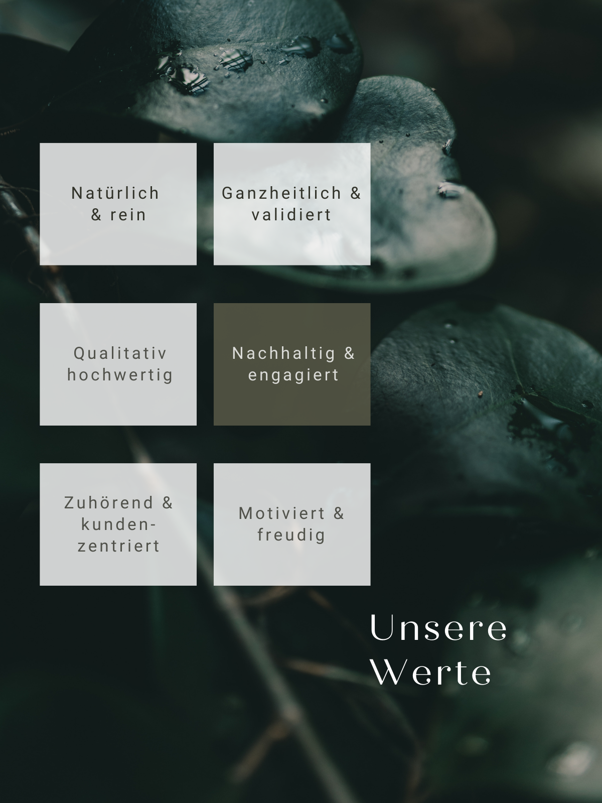 Unsere Werte nachhaltig & engagiert