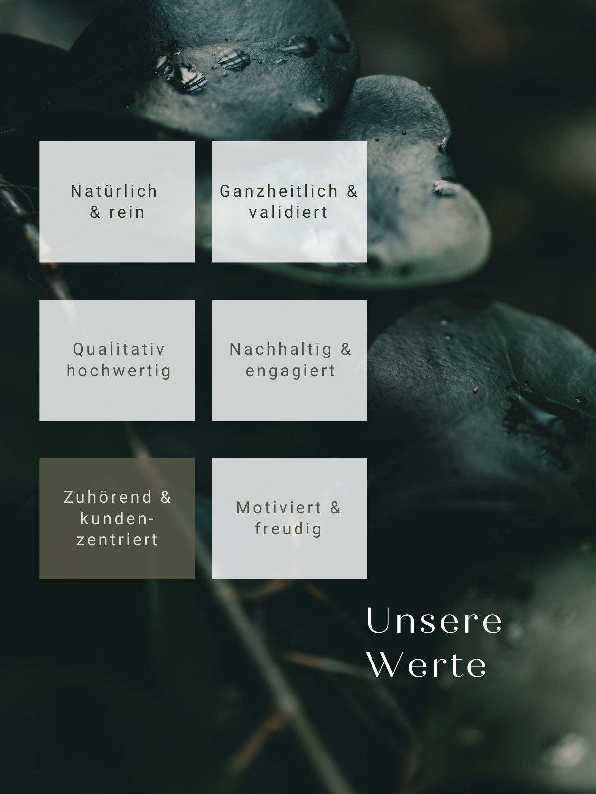 Unsere Werte zuhörend und kundenzentriert