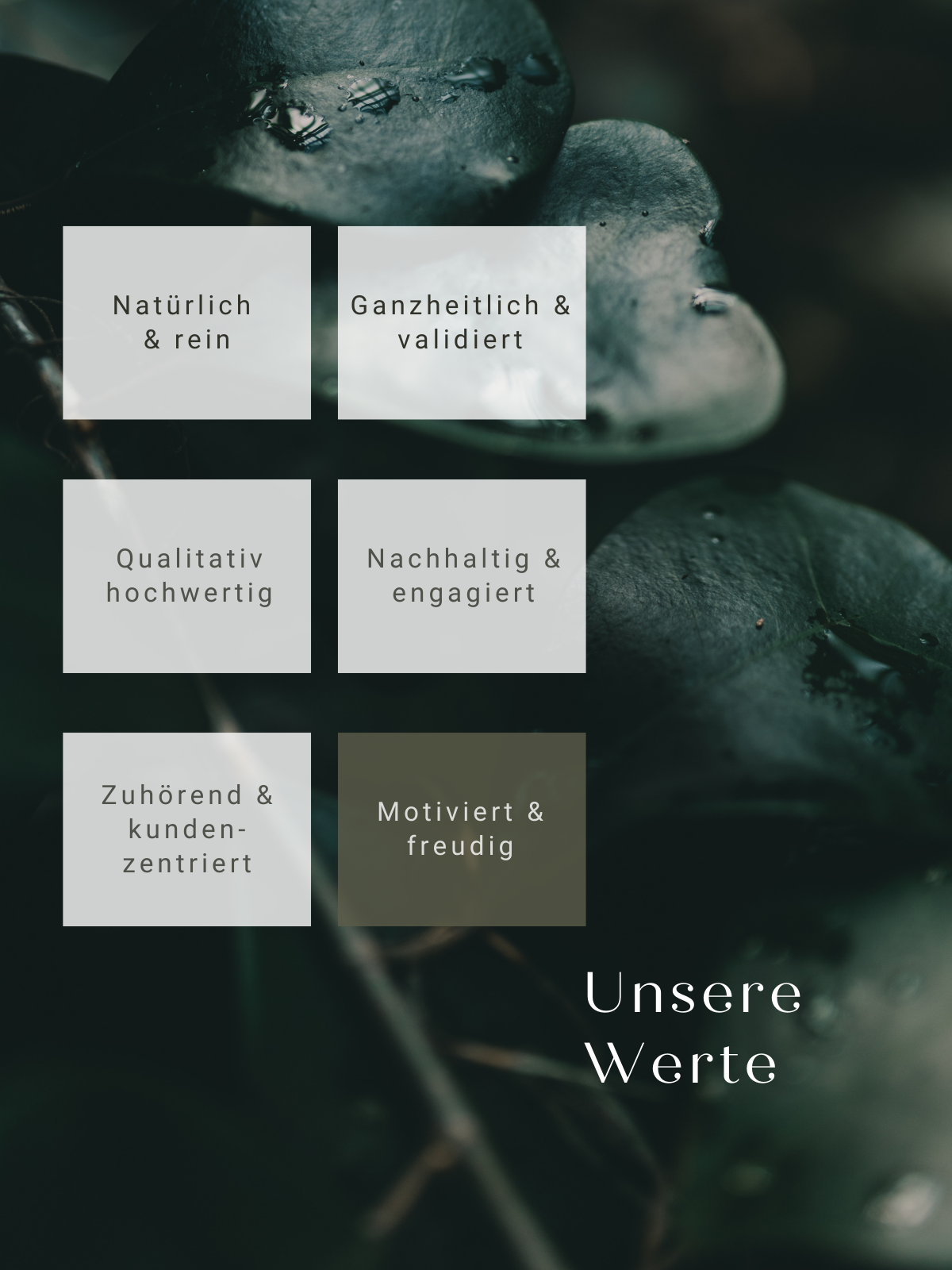 Unsere Werte motiviert und freudig